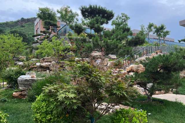 Views of BIMSA