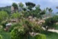 Views of BIMSA