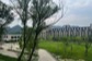 Views of BIMSA